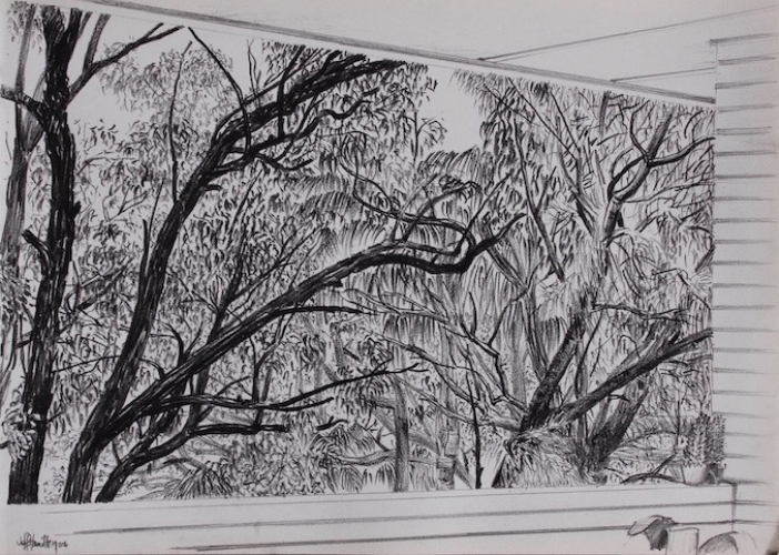 Its Right There in Front of You